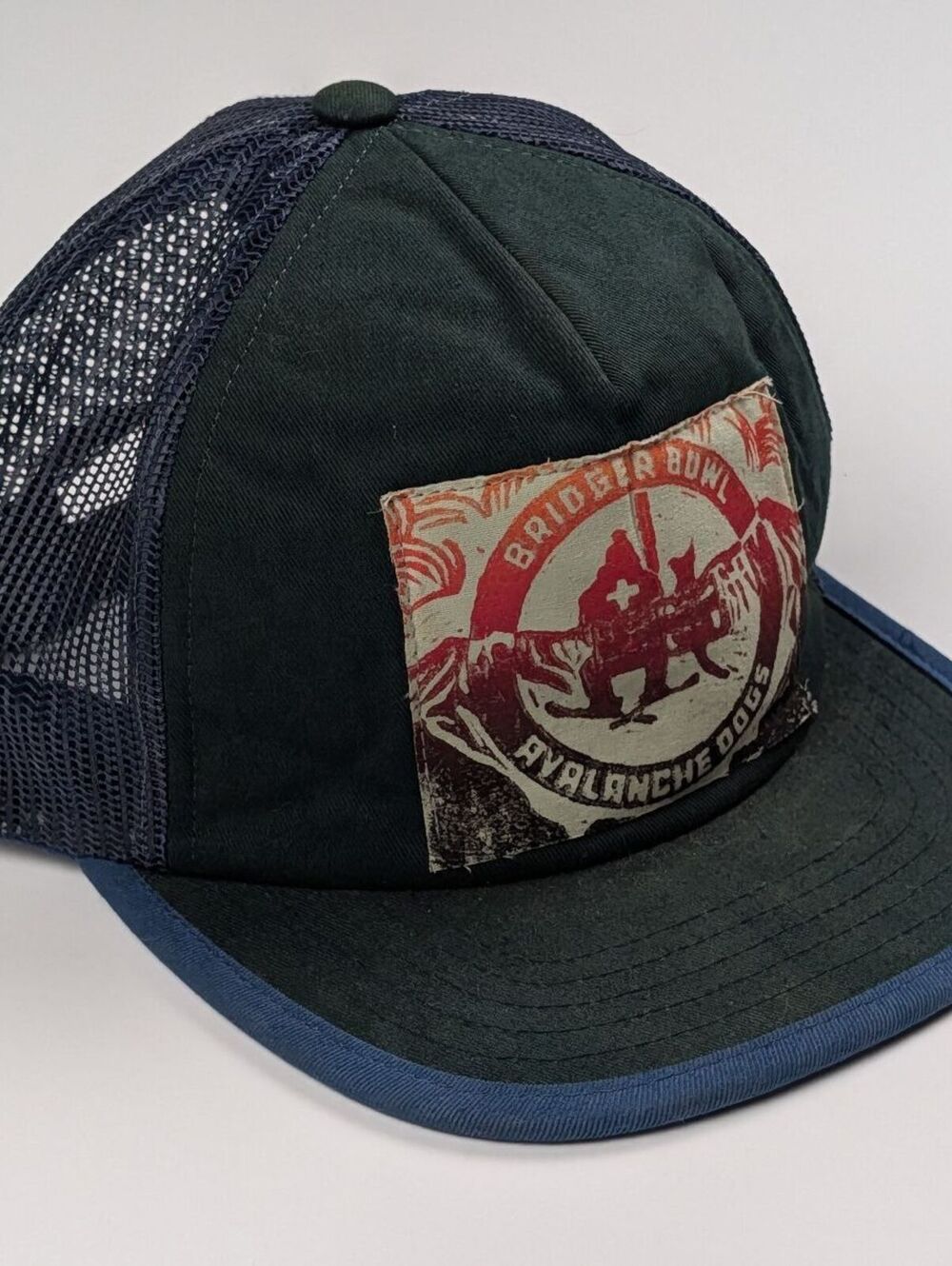 RECAPS Bridger Bowl Avalanche Dogs Trucker Hat Ski Core Mountain Gorpcore
